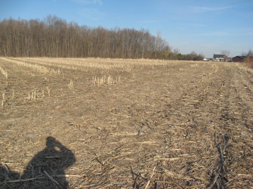 Property photo 4 - 44 Acres Offered in 3 Tracts